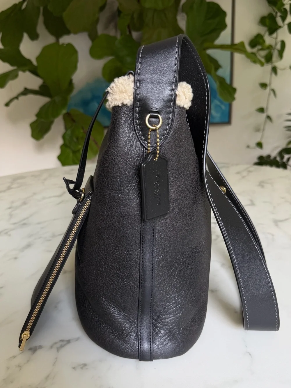 Coach Bleecker Bucket Bag In Shearling Brass Black Natural Leather CCC28